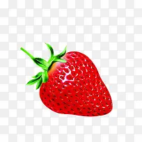 手绘诱人草莓效果图素材