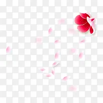 漂浮樱花