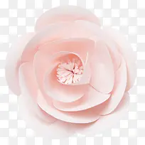 粉白色仿真美丽花朵
