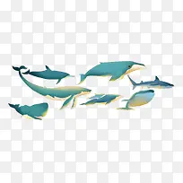 手绘海洋生物装饰插图鲸鱼插画