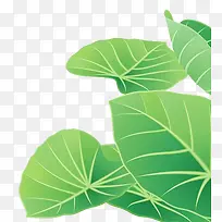 卡通荷花小清新清明节素材