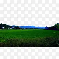 稻田旁的房子