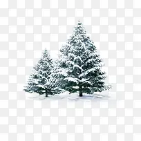 雪地里的松树组合