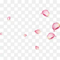 大片的粉色花瓣海报