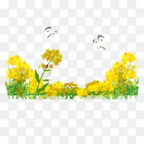 黄色春季美丽花朵花丛