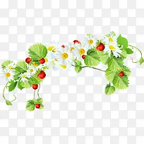 草莓植物花朵雏菊素材