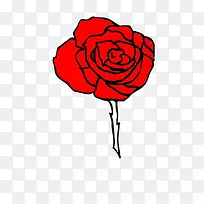 娇艳的红玫瑰