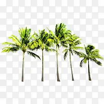 绿色植物卡通沙滩椰子树夏日