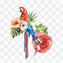 水彩手绘鹦鹉花朵装饰图案