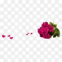 紫色玫瑰花束花瓣装饰图案