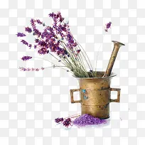 薰衣草花素材