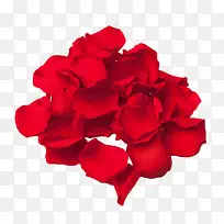 一堆红色玫瑰花瓣