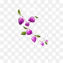 紫色花骨朵