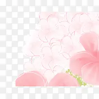粉色系  花瓣