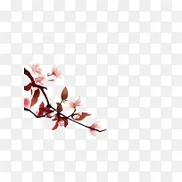 手绘桃花枝