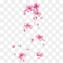 粉红色花瓣飘落的花朵