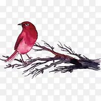 红色水彩手绘小鸟