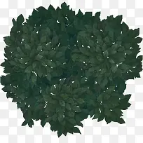 手绘深绿色树叶美丽