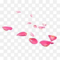 粉色花瓣