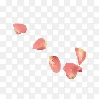 漂浮粉色花瓣素材