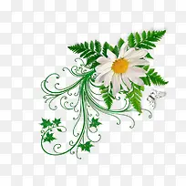 花腾蝴蝶
