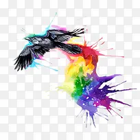 彩色染料背景下飞翔的乌鸦