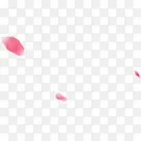 漂浮淡粉色花瓣