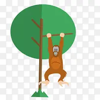 绿色树木猴子爬树