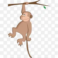猴子伸手抓树枝
