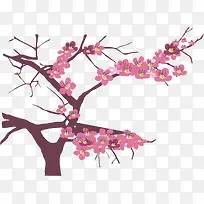 樱桃树枝