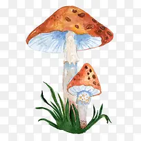 卡通手绘可爱的蘑菇