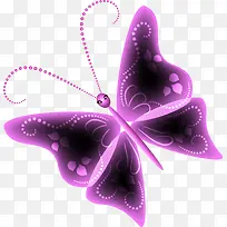 紫色美丽梦幻蝴蝶素材图