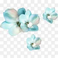 淡雅蓝色花朵图
