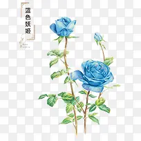 蓝色妖姬