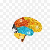 矢量晶格化彩色大脑