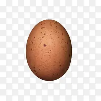 深褐色鸡蛋带大斑点的初生蛋实物