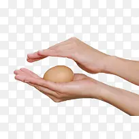 褐色鸡蛋手握着的初生蛋实物