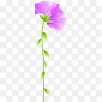 紫色半透明花朵图