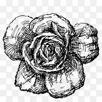 黑白花卉装饰玫瑰花