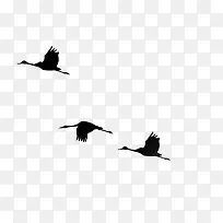 黑色矢量海鸥