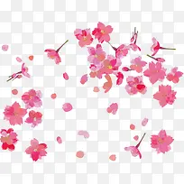 春暖花开飘落的花