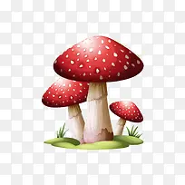 几棵红白色的蘑菇