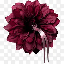 紫红色鲜花