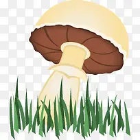 小草蘑菇
