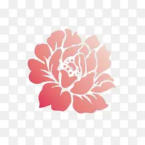花卉图片