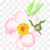 手绘花卉