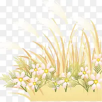 牵牛花和稻草