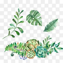 手绘植物睡莲蓝色叶子素材