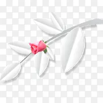 矢量花朵图案