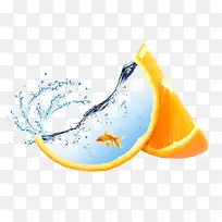 橙子里面的鱼素材